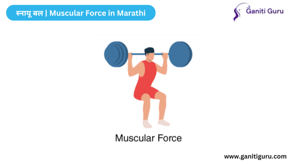 स्नायू बल | Muscular Force in Marathi